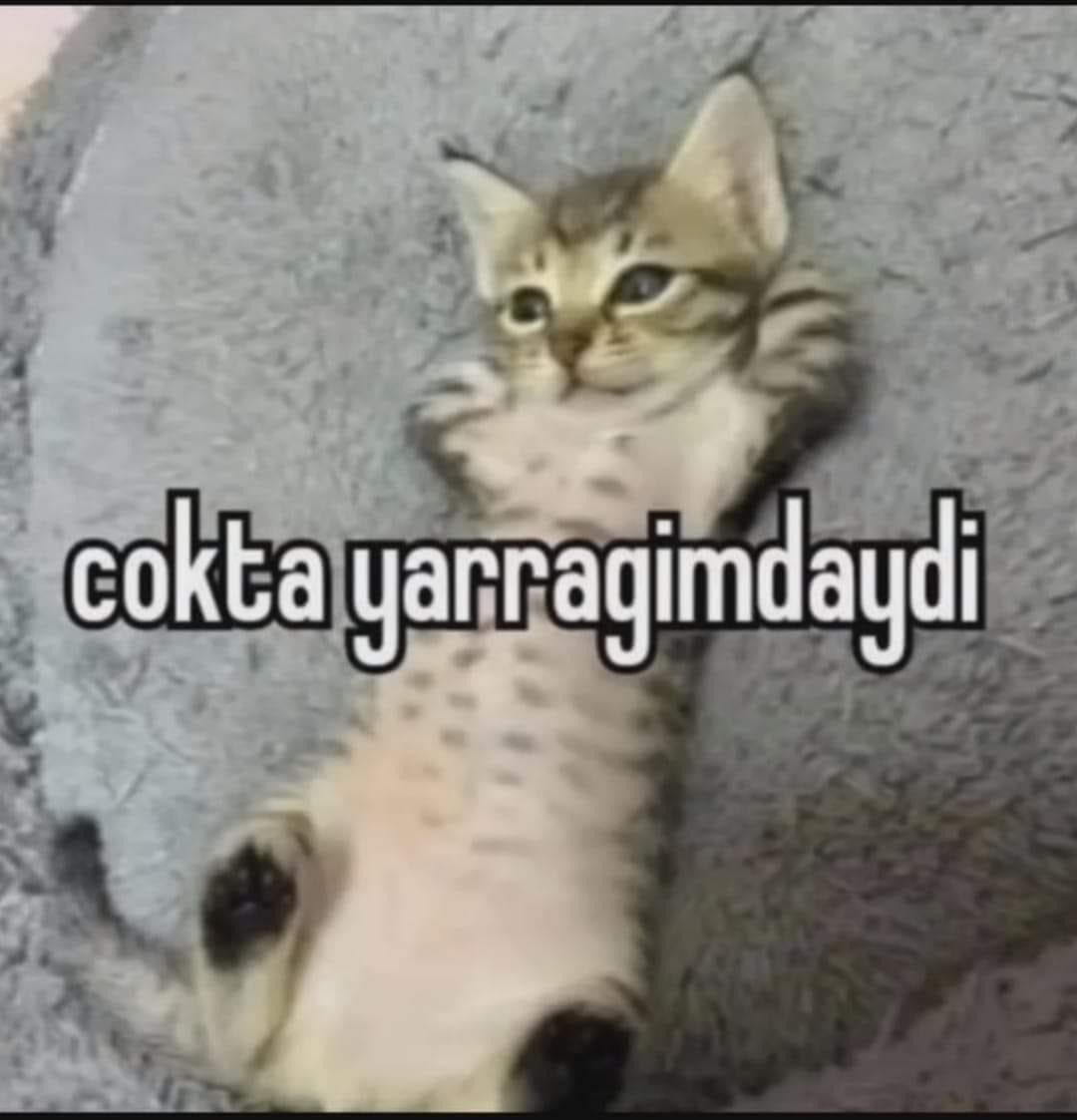 hoca54e's tweet photo. @mahfildijital https://t.co/fkAXynpBd1