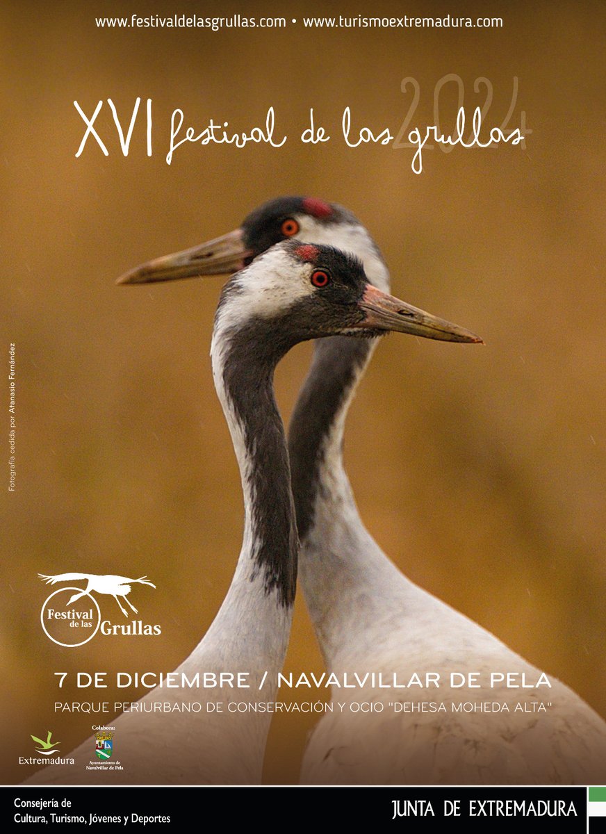 Un año más, ANSER estuvo en Moheda Alta recibiendo a la "Dama gris" en el clásico "Festival de las Grullas", donde estuvimos realizando tres talleres y dentro de las Jornadas Técnicas se dio la charla "Qué hacen las Grullas cuando no están con nosotros" por Manuel Calderón.