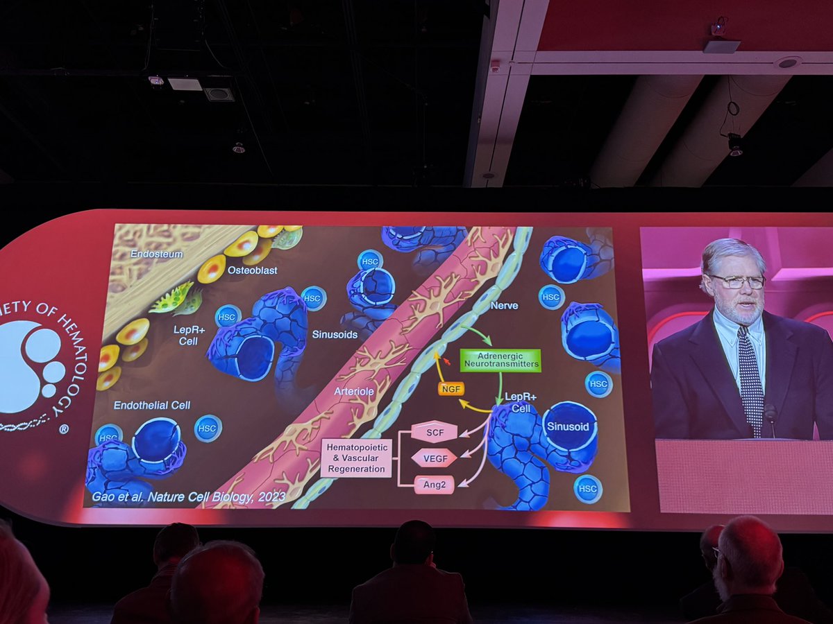 AshKishtagari's tweet photo. Brilliant #ASH24 E. Donnall Thomas Lecture by @SJMorrison_ on HSC maintenance. Honored to see our patient data from @VUMC_Cancer contribute to advancing this important work. Collaboration fuels discovery!
@StephenChung16 @DrAdetolaKassim https://t.co/maRDydG0Nq