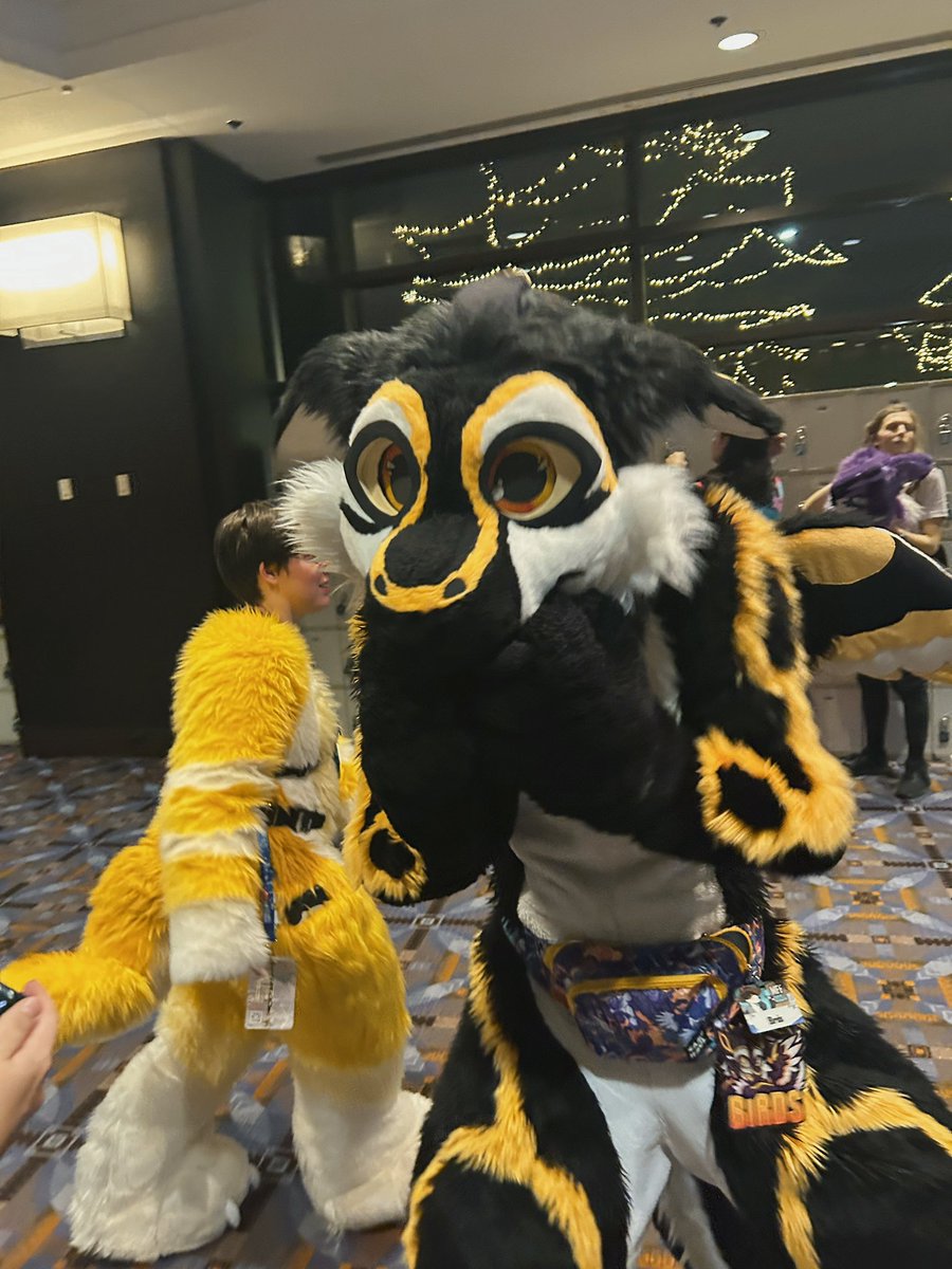 OceanTheDerg's tweet photo. Got a photo with @BirbsWings on the last night!! https://t.co/pEHsekSY1M