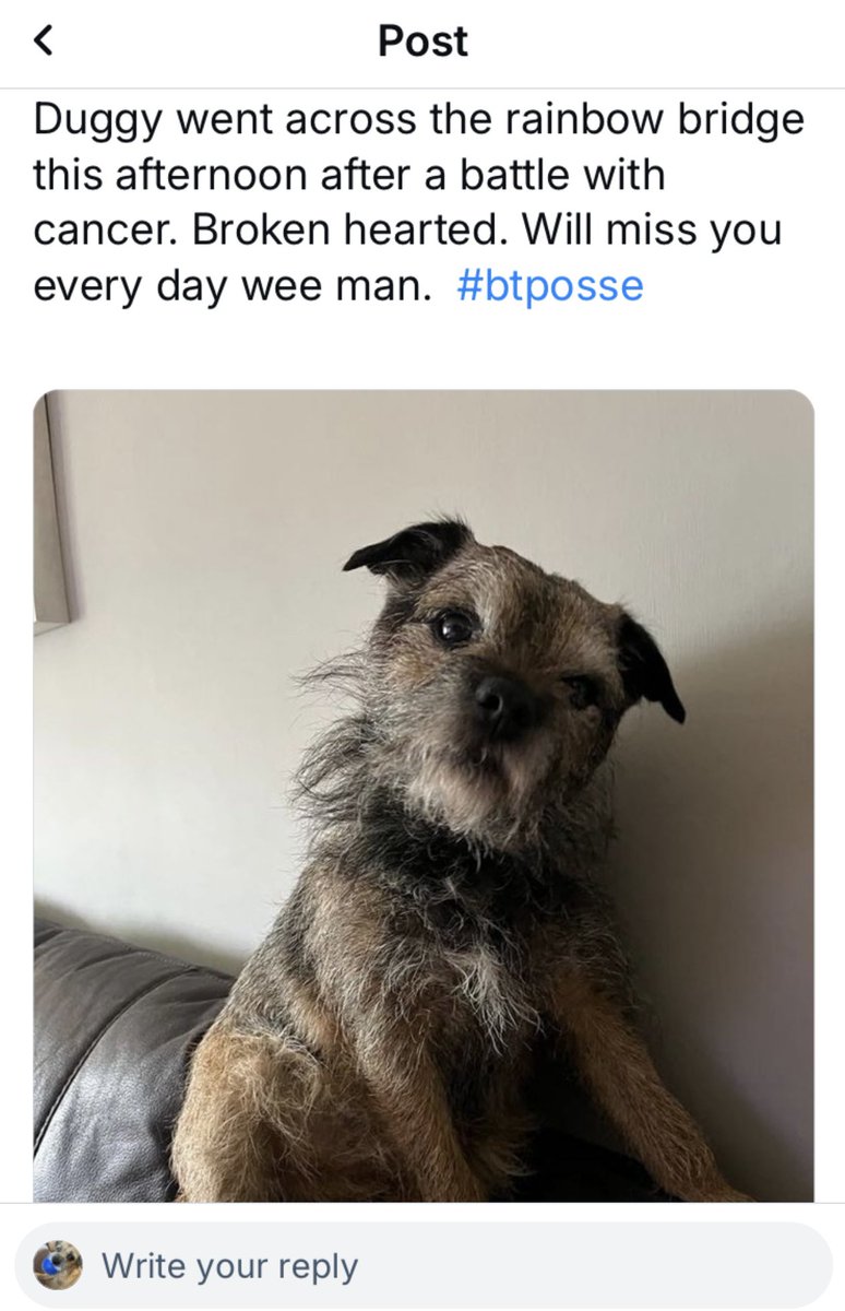 Lady Winnie BT 🏴󠁧󠁢󠁳󠁣󠁴󠁿 tweet media