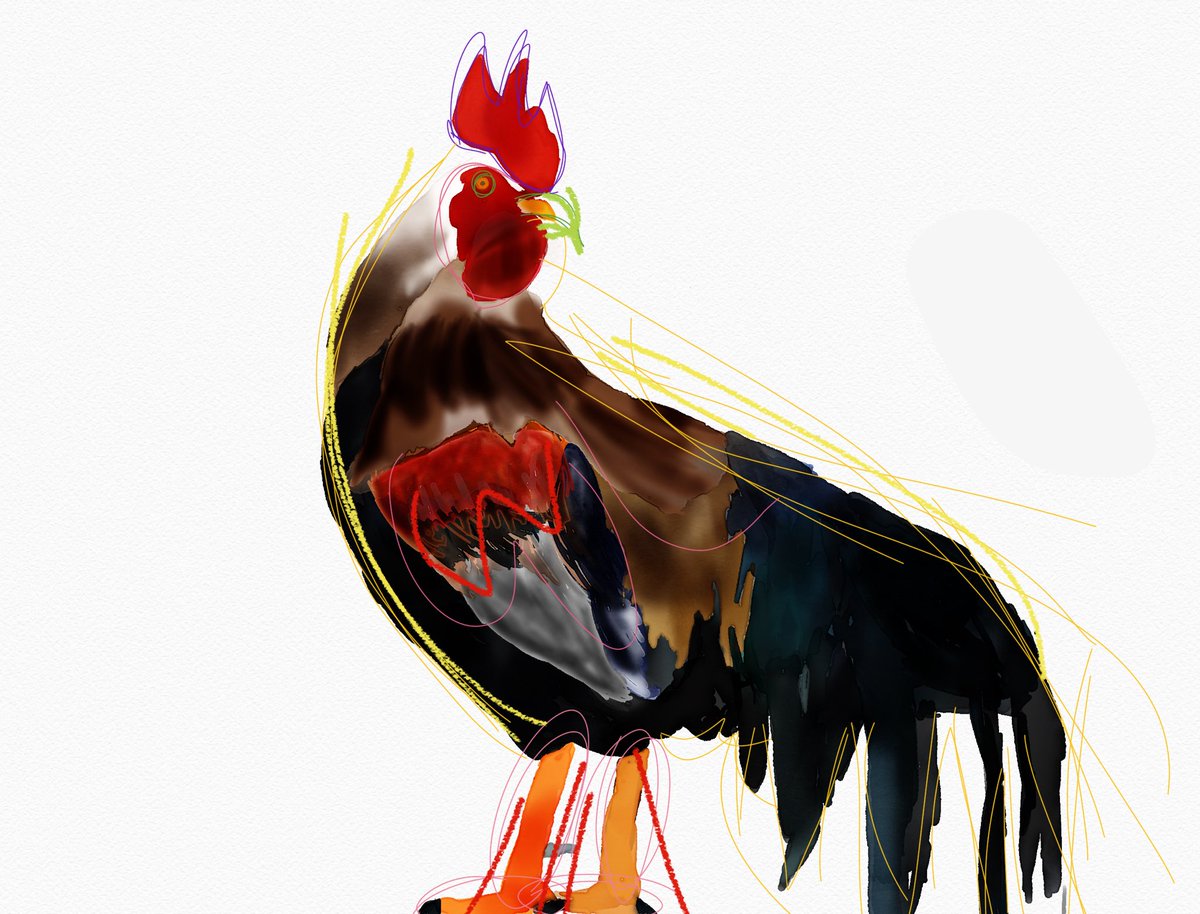 CAdamsLPMS's tweet image. Studying the style of @JamesMoir10, 7G iPad Art students tried out digital watercolors to paint chickens. Students learned that digital watercolor is no easier than watercolor with paint and paper. Love these cheeky birds! #iPadArt #StudentArt