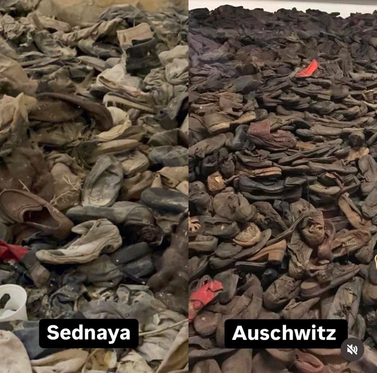 Did you know that all the horrors we see in Saydnaya prison today were brought to my country, Syria, after Hafez al-Assad hired a Nazi officer to import torture techniques, build prisons, and create a systematic killing machine? 

His name was Alois Brunner, Captain in rank of