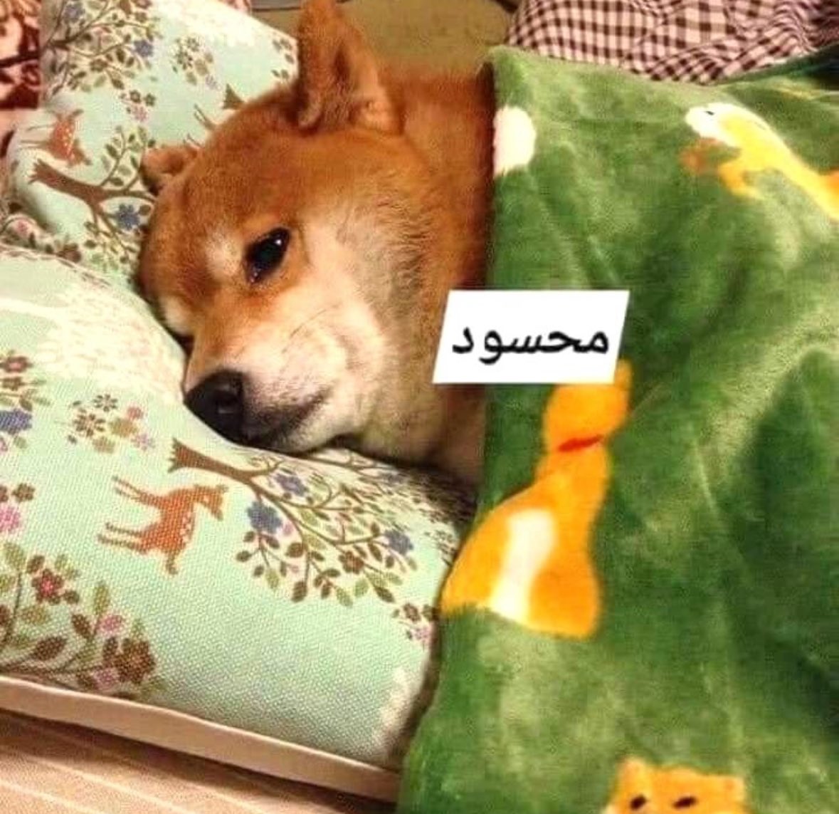 iii_hearttt's tweet photo. مو قادر تذاكر للفاينل لان https://t.co/nM0xeE17gt