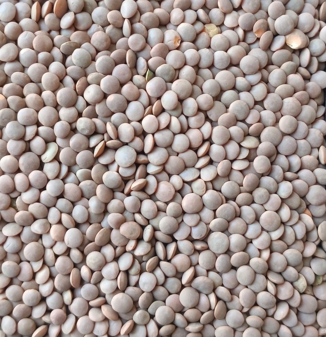 pakcommodities1's tweet photo. Pakcommodities Islamabad- lentils arrival at Karachi port in the month of Nov 
85 containers Canada 
357 containers Australia 
15 containers Russian https://t.co/jf9jg2LDdu