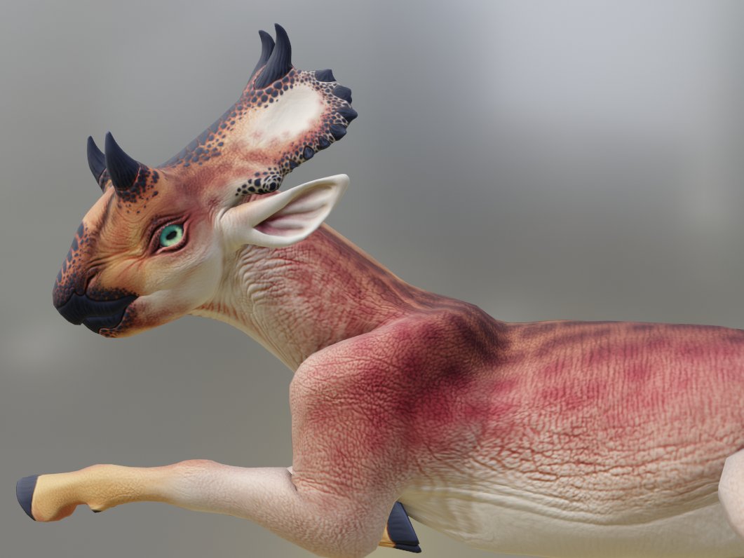 Okay, I lied. The baby Cervi deserves some love too