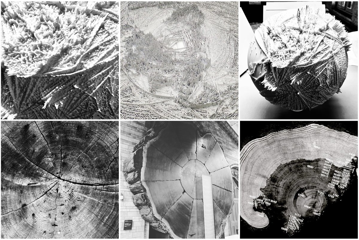 Panarchic Codex® tweet media