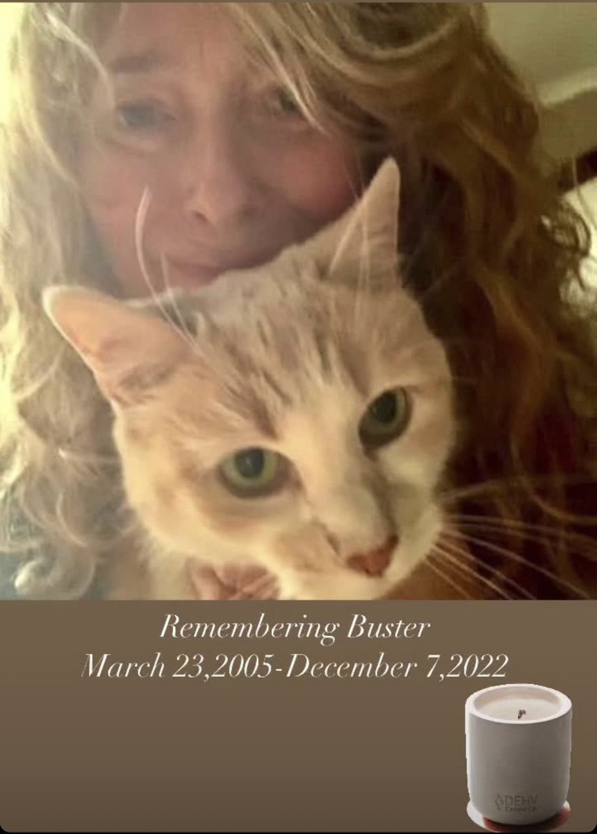 Tipsy__Gypsy's tweet photo. @UKLisaW So very sorry for your loss, Ruby was lovely. 2 days ago marked the 2nd year of the passing of my Buster who was nearly 18 years old. Their paw prints will be on our hearts forever.🐾♥️ https://t.co/nlwCgG10Ze