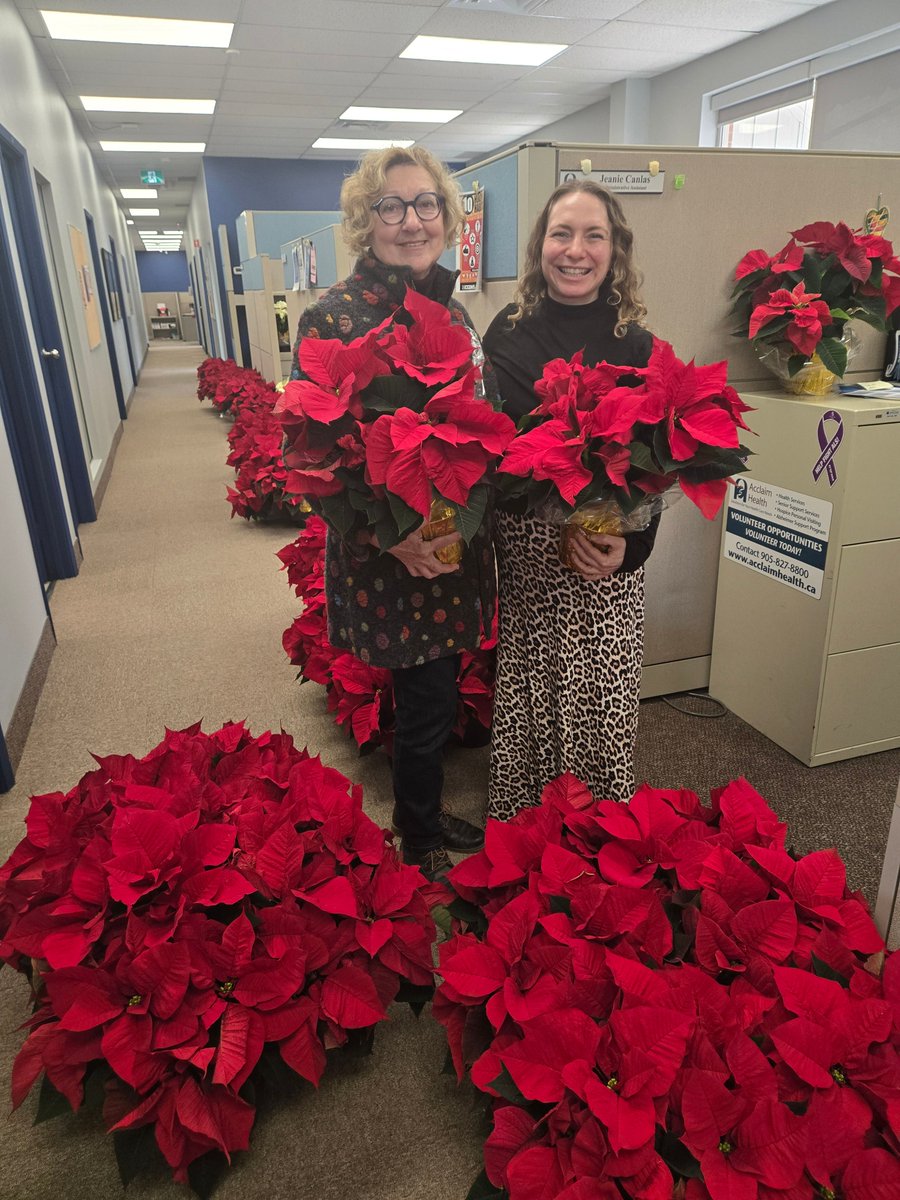 AcclaimHealth's tweet photo. Thank you so much to the Burlington Lions Club and I.O.D.E Angela Bruce Chapter for providing these lovely poinsettias for our clients! They will make so many smiles. 

#halton #haltonhealth #oakville #holidaycheer #donation #holidayseason #seasonofgiving  #HealthCareHalton https://t.co/jvXAkJNADh