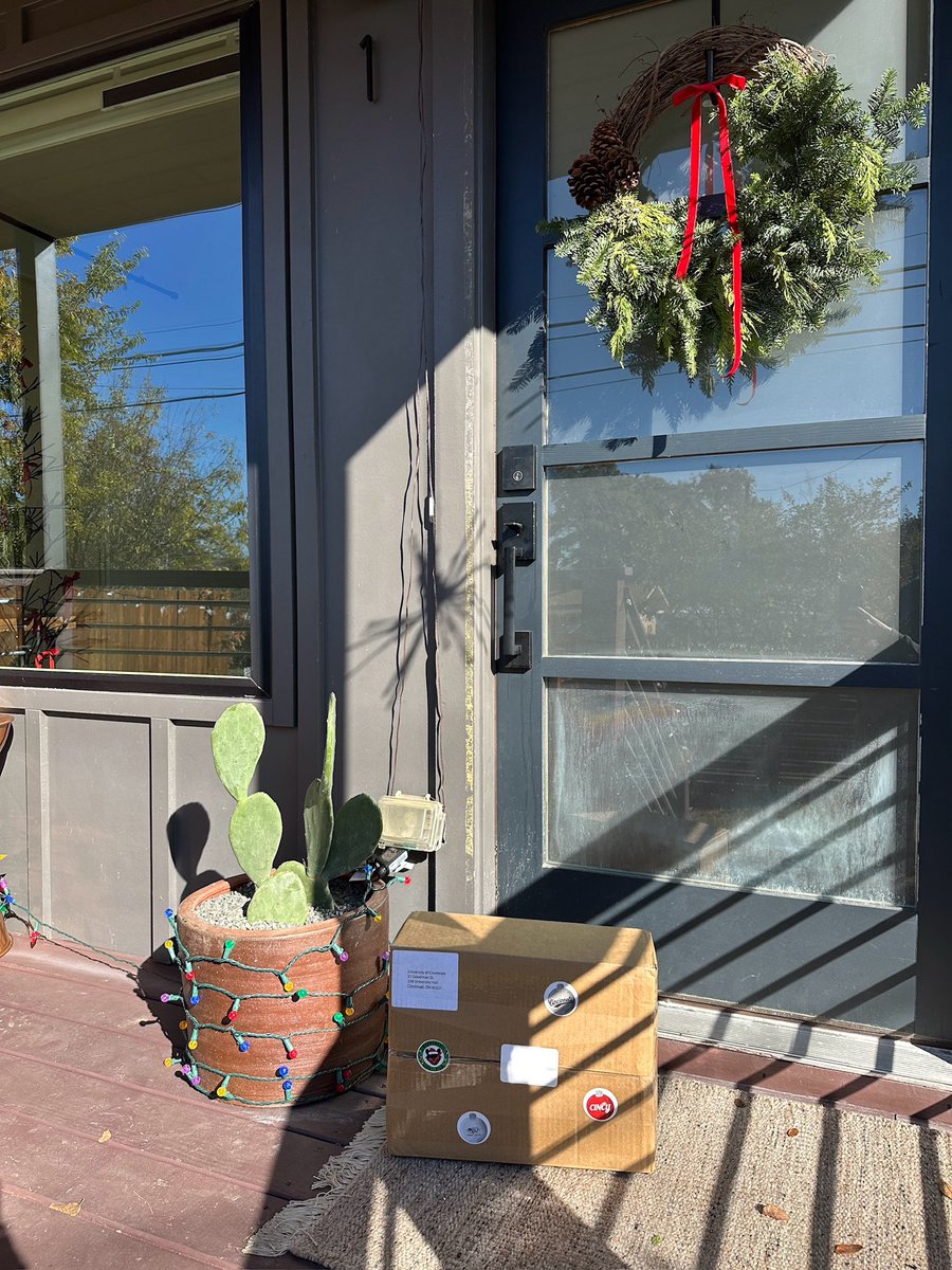 Sarah M. Mullins tweet media