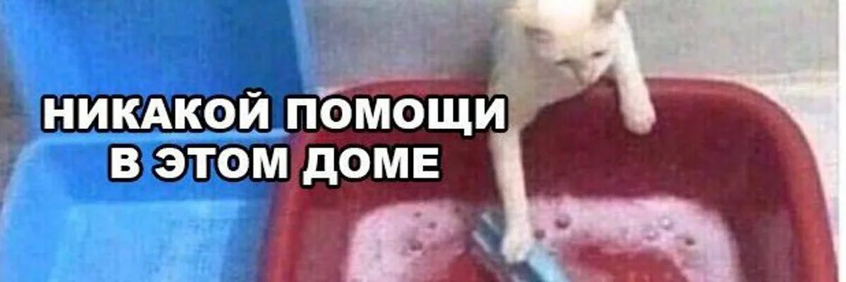 TiLuthien's tweet photo. @mrachpaul1793 Это особенно прекрасно в контексте запрета писать портреты государственных преступников (не помню точную формулировку, в какой-то статье видела) 

НиколайСаныч: https://t.co/AzoOoA1iE2