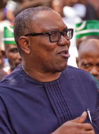 TAIYEGABRIEL3's tweet image. Peter Obi is my man.
What do you say about him??

#PeterObi #goodexample #GoodGovernance
