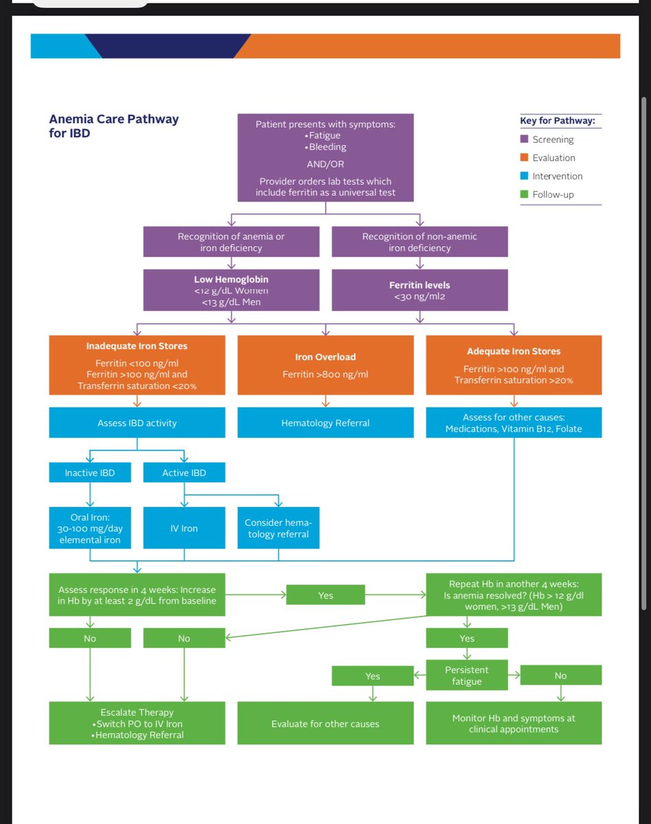 kendra_weekley's tweet photo. Thank you @GIdietitian for talking about fatigue and micronutrients in IBD. She Reminded us of this awesome @CrohnsColitisFn anemia pathway! #AIBD2024 https://t.co/CihUiFVYj2