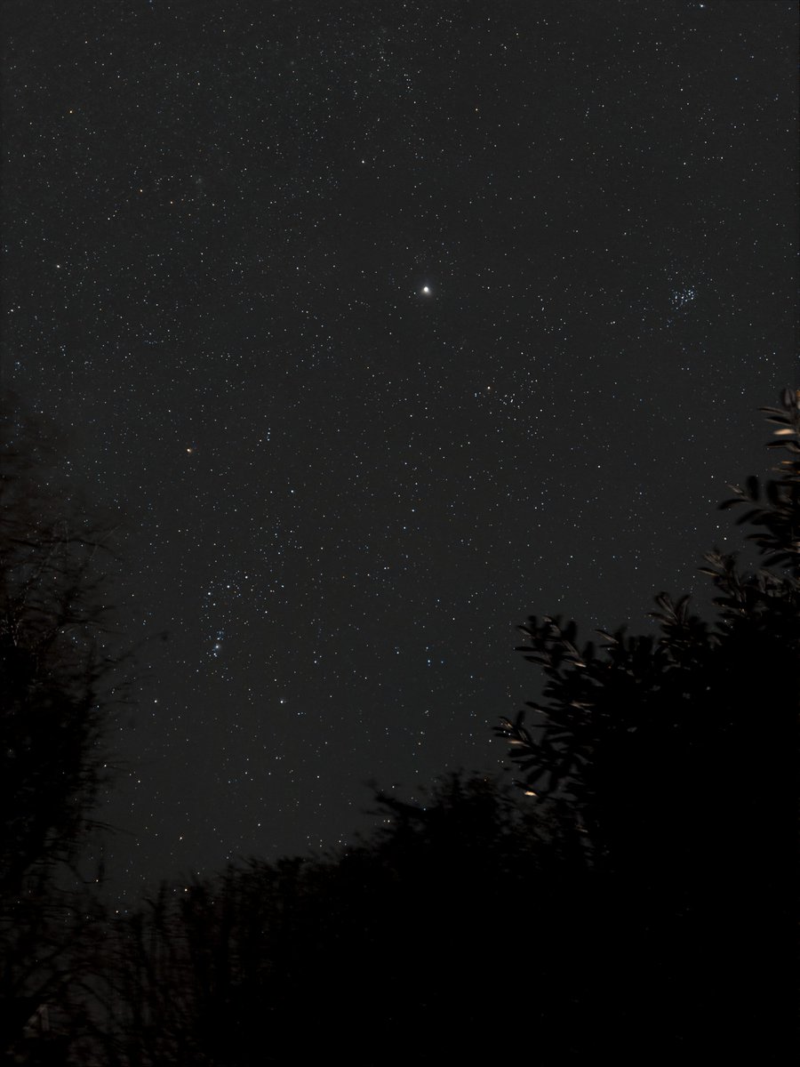 LetsGoAstro's tweet photo. Orion - Pleiades - Jupiter
Testing the AstroShader app for iPhone - I like it! 🙂
The write up is on my Fb page: https://t.co/RkClgai8kI
#Astrophotography #Photography #SmartPhoneAstrophotography #Stars #Space #iPhone #AstroShader #Jupiter #Pleiades #Taurus #Orion #NightSky https://t.co/RvRRtyRDN1