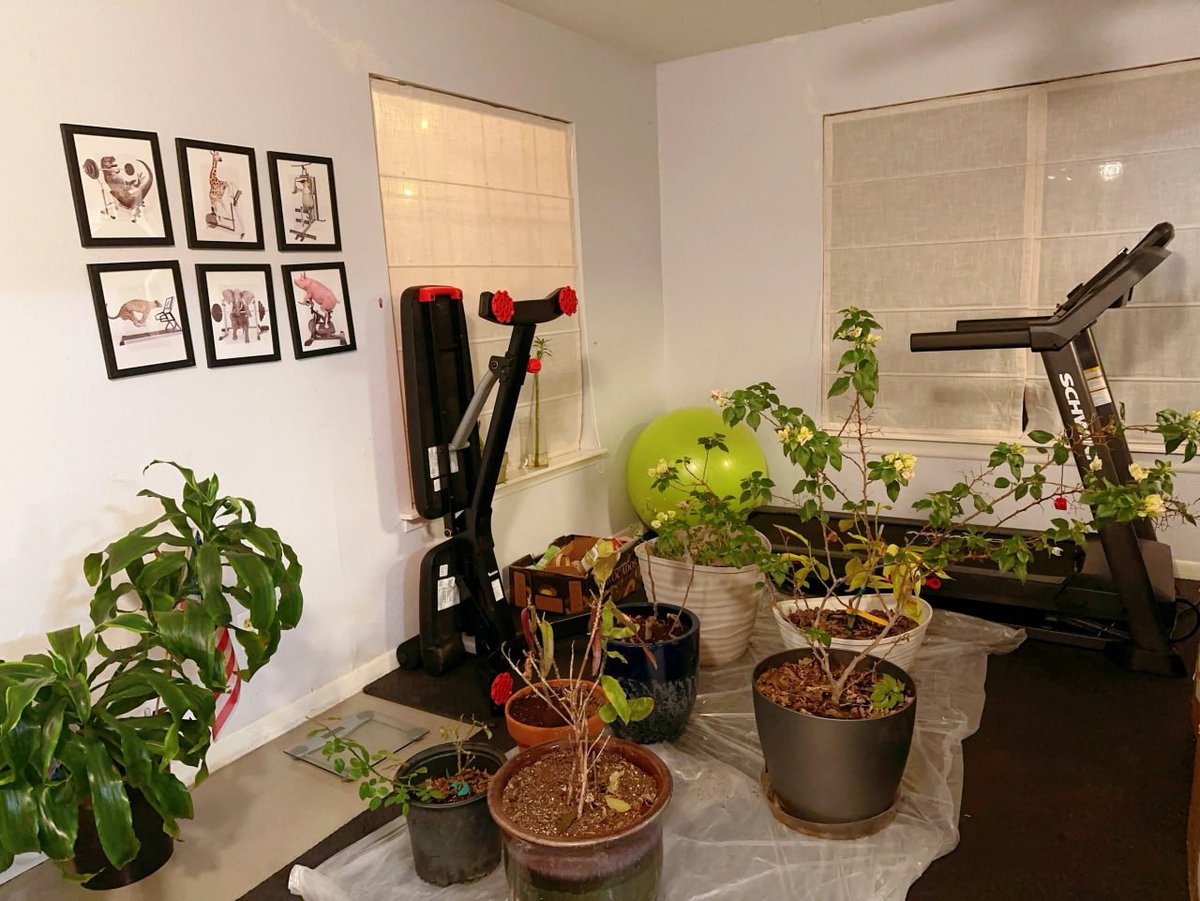 A day of self-discipline.
##Fitness #Self-discipline #Running