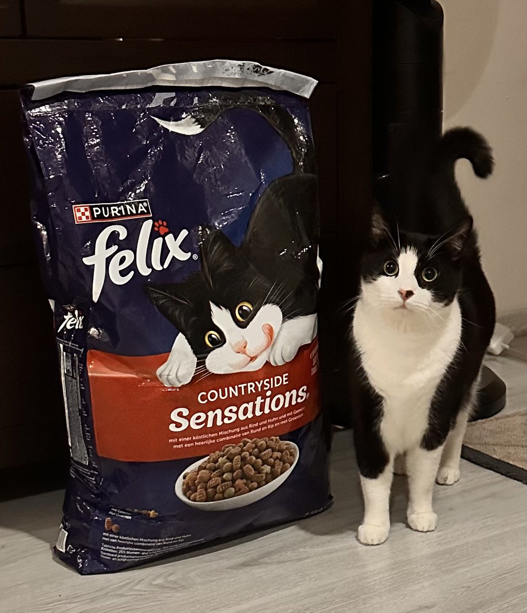 Esra Efendioğlu tweet media