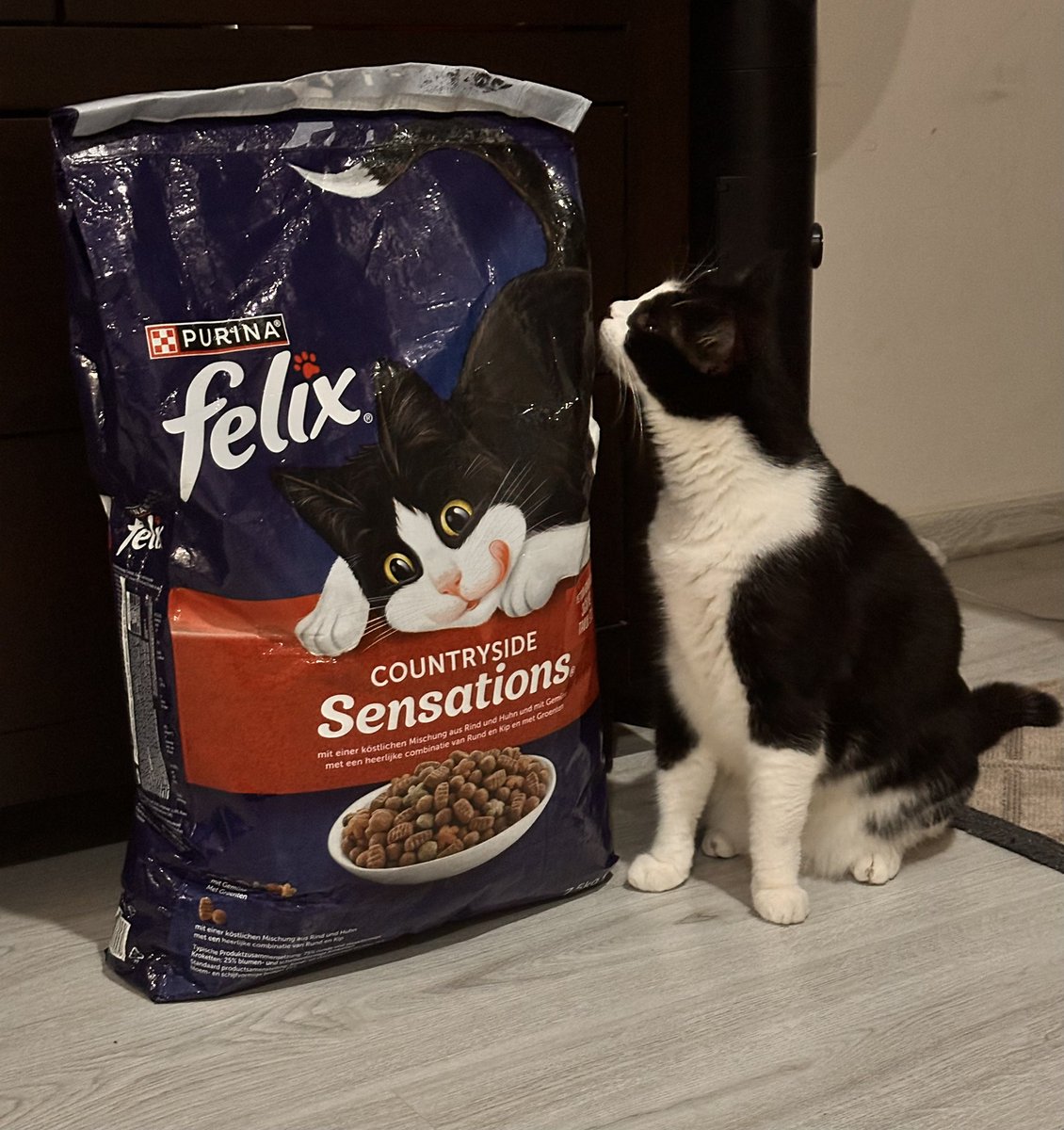 Esra Efendioğlu tweet media