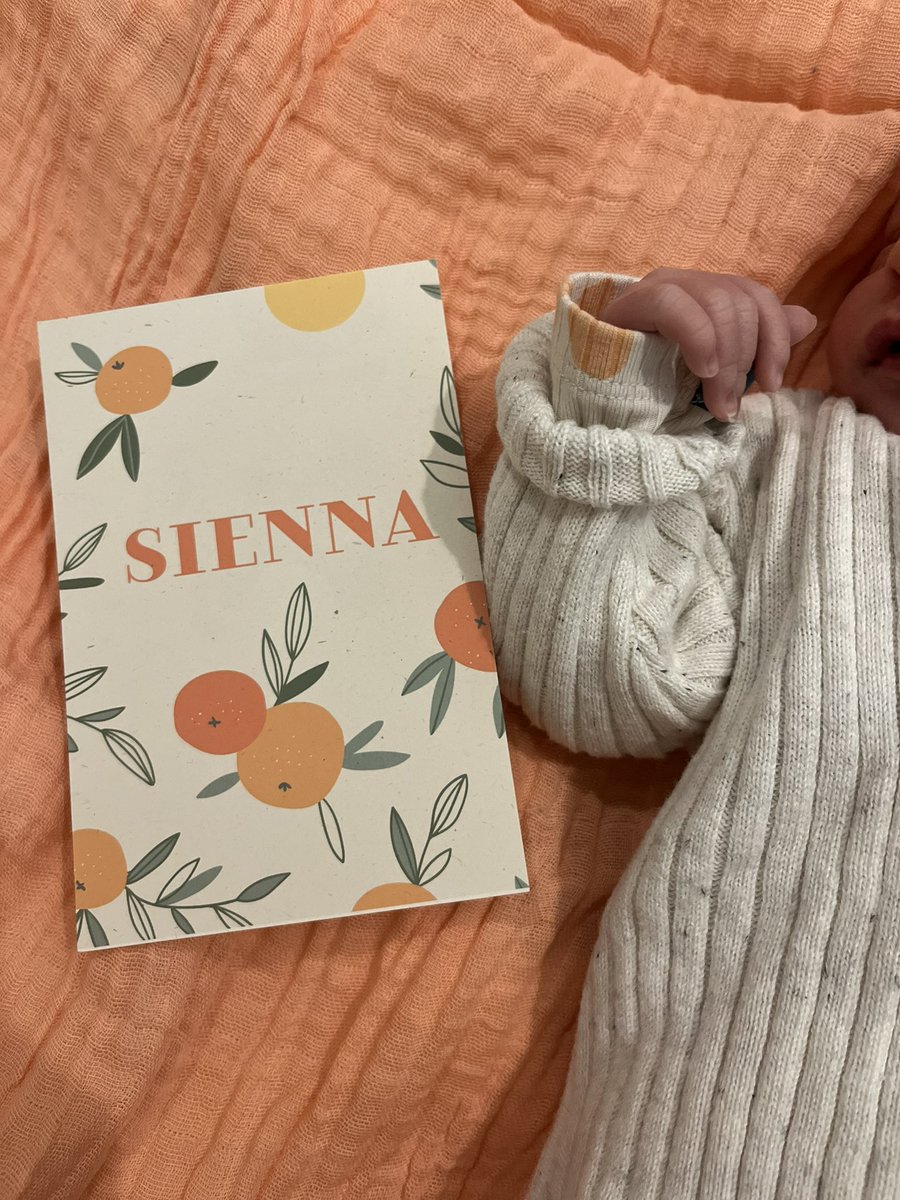 Yanko Beeckman tweet media