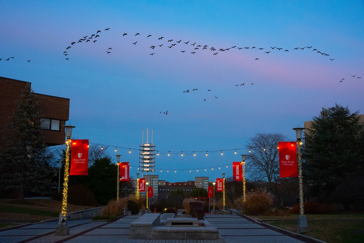 stonybrooku's tweet photo. Let's pretend it's not raining today with one last #SBUtiful sunset post for our last day of classes. Just a few more days until break! Go Seawolves, you've got this! 🌊🐺 https://t.co/470bteF6Wq