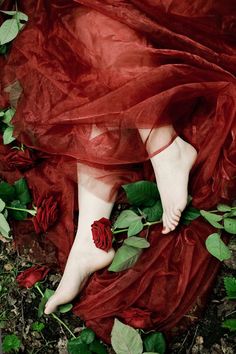 PetalsStyle's tweet image. "A língua lambe as pétalas vermelhas
da rosa pluriaberta; a língua lavra
certo oculto botão, e vai tecendo
lépidas variações de leves ritmos.
E lambe, lambilonga, lambilenta,
a licorina gruta cabeluda,
e, quanto mais lambente, mais ativa,
atinge o céu do céu, entre gemidos,
..."