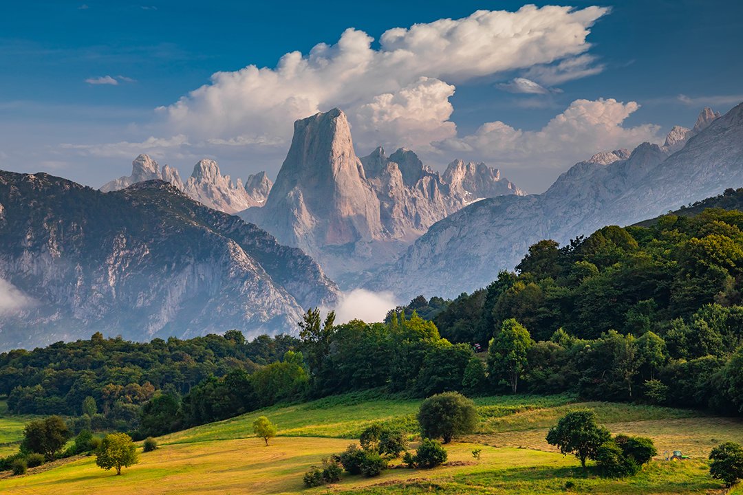 🏔 Los 16 Parques Nacionales de España: sitiosdeespana.es/articulo/los-1…
🌳 Enclaves que representan lo mejor de la diversidad geográfica y ecológica del país.