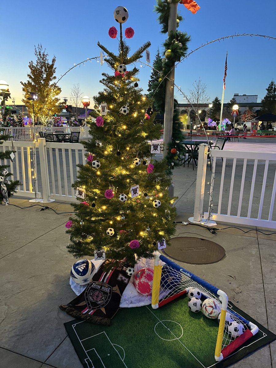 GO VOTE FOR OUR TREE!!!🌹🌹

docs.google.com/forms/d/e/1FAI…