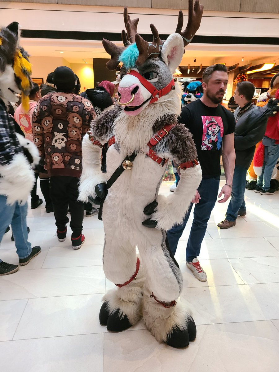 AzulBlackJaguar's tweet photo. @R0rek being a studly stag as always at #MFF2024 https://t.co/IFVOi3sSPI