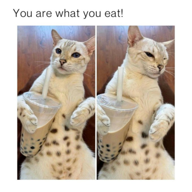 Haha I just snorted!