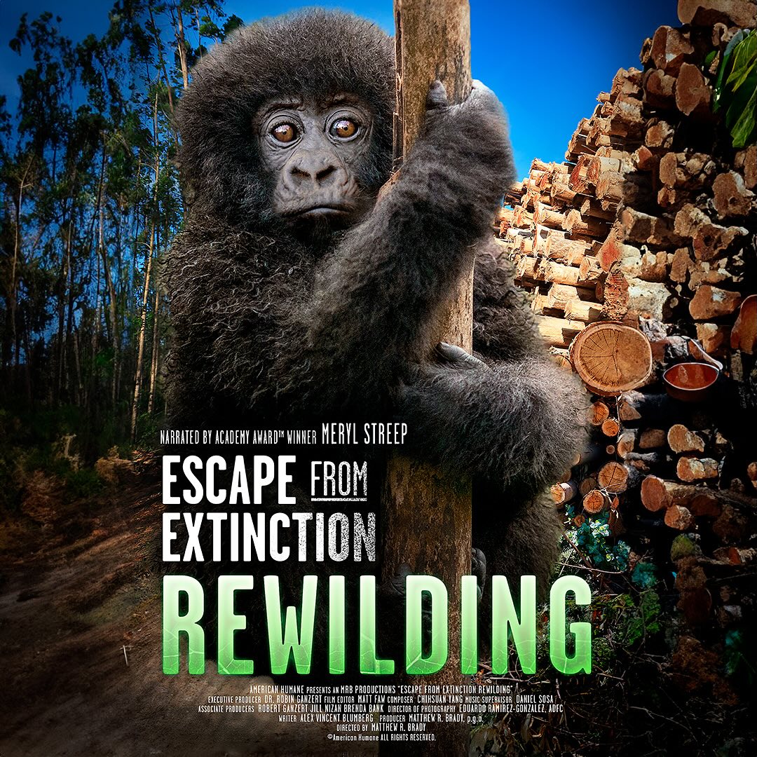 Escape From Extinction tweet media
