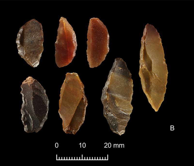 Beautiful lithics from the Bayuda Desert, Sudan #MesolithicMonday
The 140,000km2 desert was occupied for thousands of years, but is one of the least-explored areas of Sudan. Over 100 new radiocarbon dates shed light on the archaeology.

🆓 buff.ly/4hQx5un