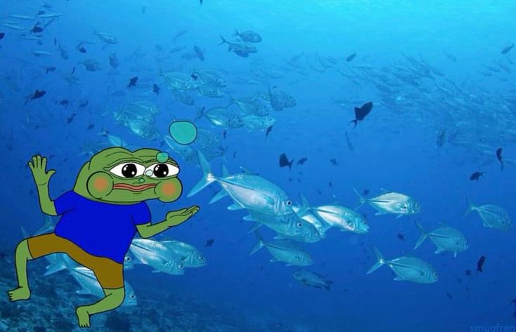 It’s no surprise $PEPE is fastest coin back to green on the daily 

Frogs thrive underwater