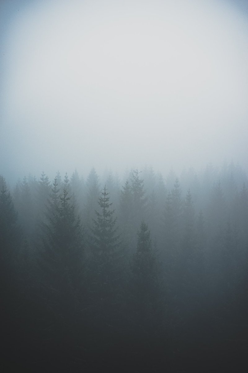 earthcurated's tweet photo. — serenity https://t.co/Aw8bnS7Yq5