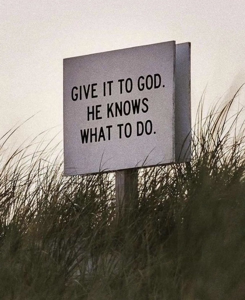 I am officially in the portal. 🦈