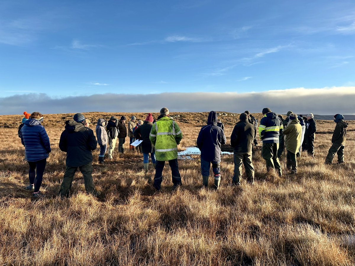 Joyce Campbell tweet media