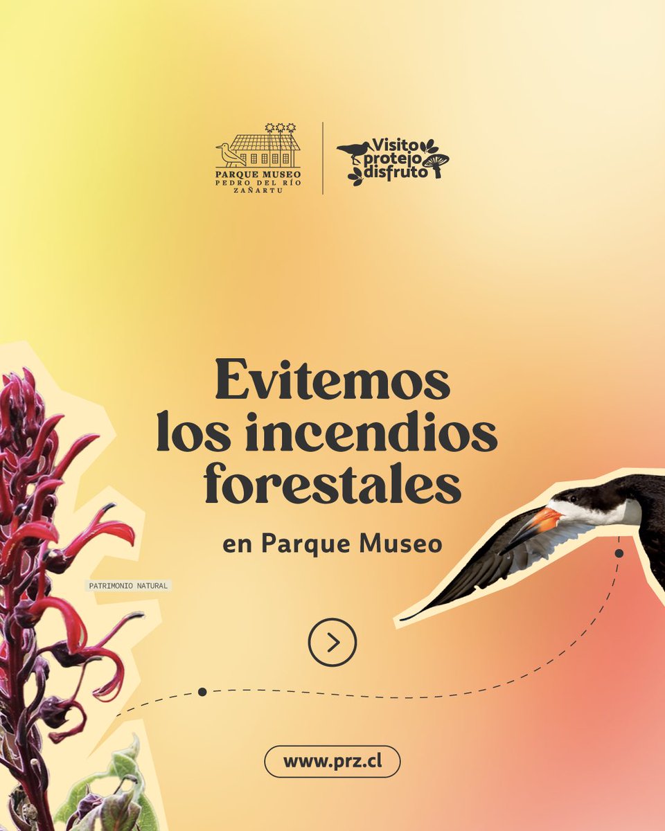 ParqueMuseoPRZ's tweet photo. Conoce + de nuestra campaña de prevención de incendios forestales en esta temporada. En todo Chile se activan las alertas preventivas para mitigar los riesgos de un incendio y sus consecuencias para la biodiversidad.

🚫🔥https://t.co/rIayQll4Um https://t.co/iiZMisu8xk
