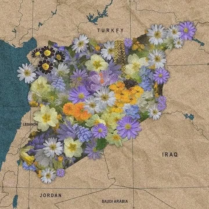 أرض الياسمين حُرة ♥️
