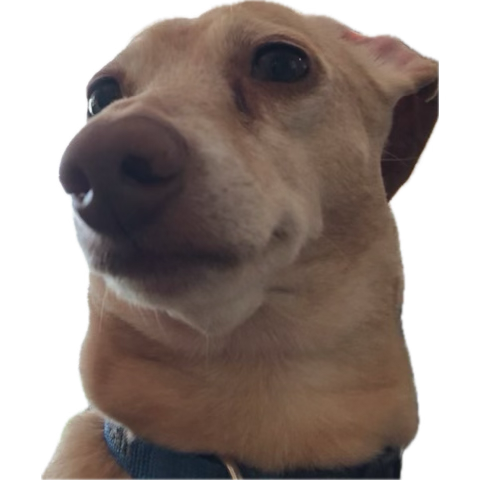 #HottyToddy 
<a href="/BMBRAD/">Brett Bradley</a> <a href="/Dr_Chabo27/">Dr Chabo</a> <a href="/WDE6969/">WDE</a>