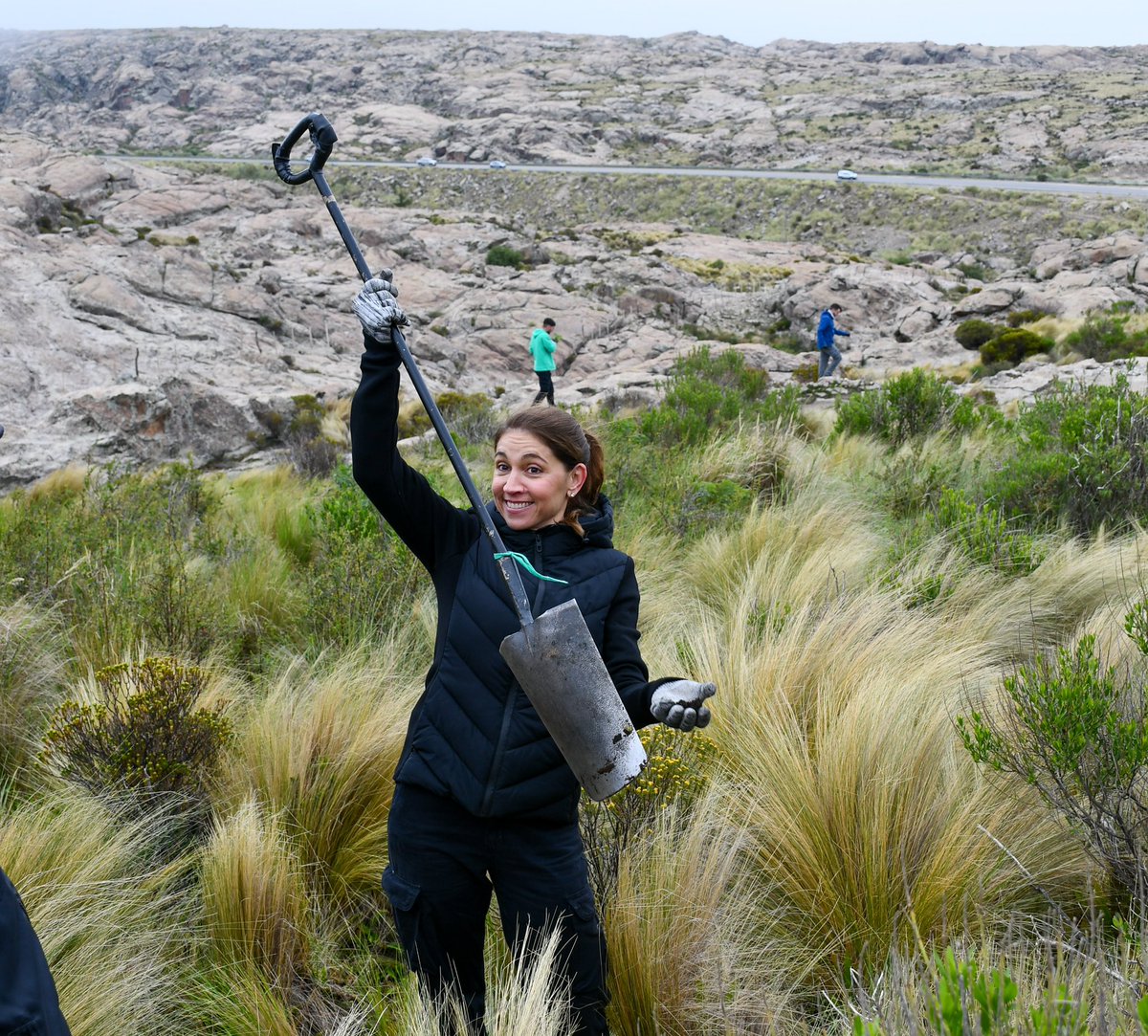tori_flores's tweet photo. 💧 El tabaquillo es una especie nativa endémica que cumple un rol fundamental protegiendo a los suelos
💪🏼 Desde @MinAmbienteCba vamos a seguir trabajando por la restauración ecológica de Córdoba junto a las organizaciones de la sociedad civil y el sector privado.
#Tabaquillo https://t.co/jAVCD2B4ur