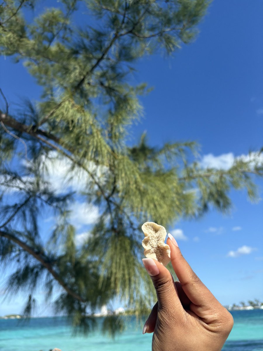 gemeneyye's tweet photo. Best day ever🏝️☀️ https://t.co/hUEYVpc8NW