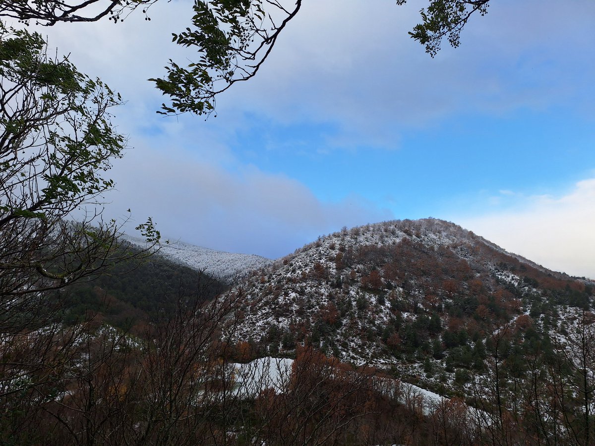 Binacuaa's tweet photo. Binacua cubierto por la nieve 🌨🏔❄️.
#BinacuaUnica #Binacua #binacua2024 #Nieve #Nieu #nevando #pirineo #pirineoaragonés #jacetania #huesca #aragón https://t.co/wcgM2jTbO4