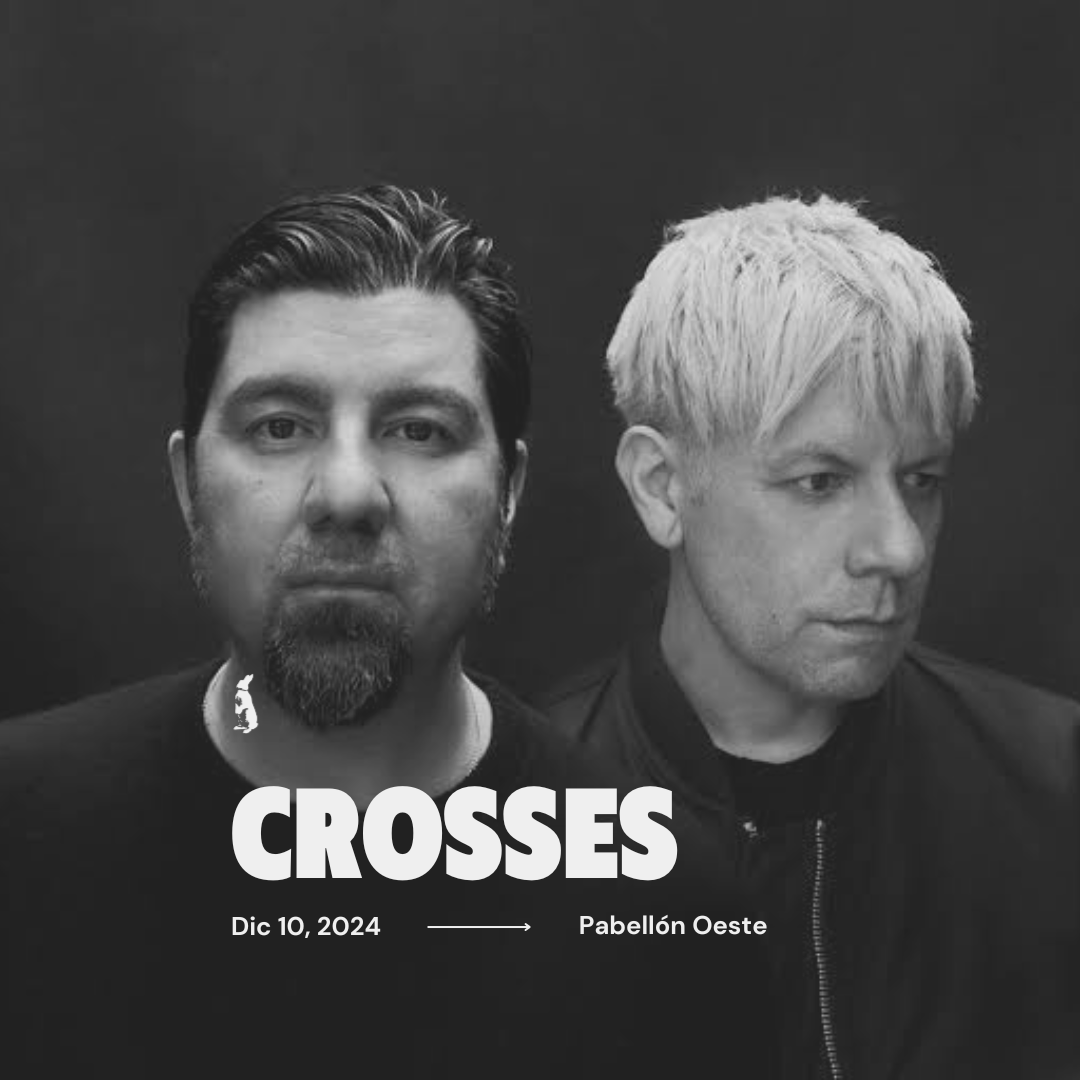 Conejos Films tweet media