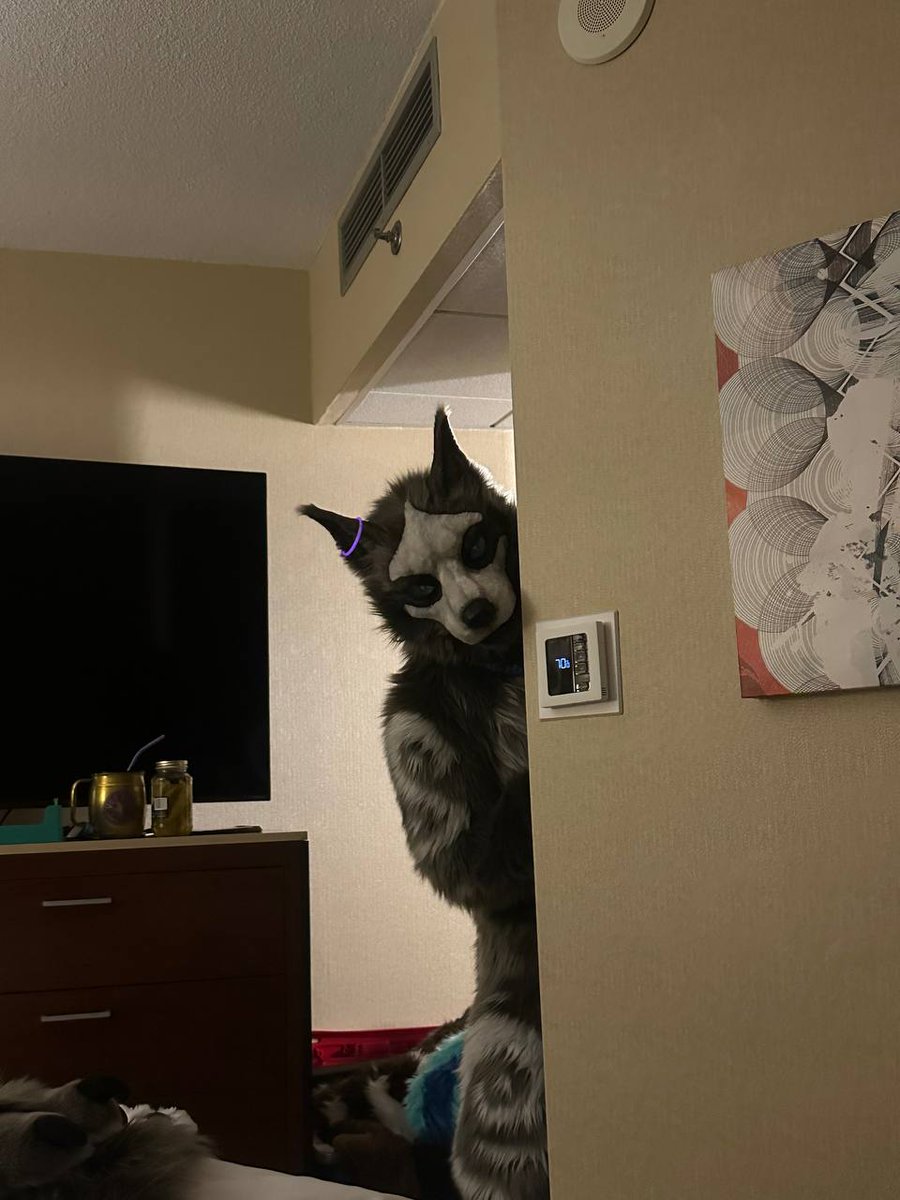 Sozato_one's tweet photo. See this guy peeking around the corner, what you do?

#MFF #MFF2024 #midwe https://t.co/jBq1eNRazF