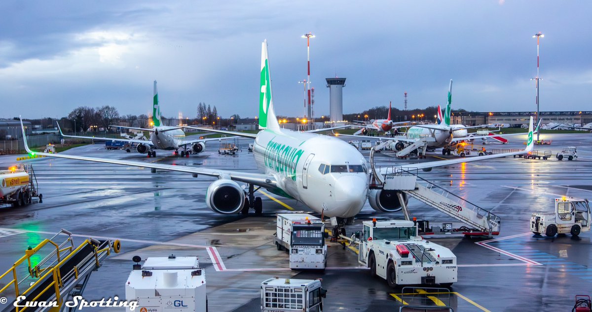 Exaricot's tweet photo. #Transavia à Nantes, au boarding au push et au taxi ! https://t.co/pY4tO4VCAc
