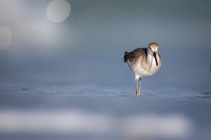 Liquidity has been a longstanding issue in DeFi, affecting the ease with which traders can buy or sell assets without causing significant price movements.