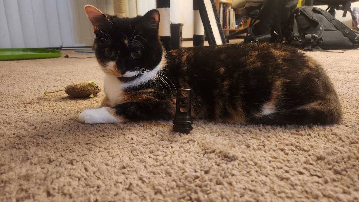 AlexisRexas's tweet photo. @hoplopfheil The cat uses ASR https://t.co/LnG1x6kwrJ