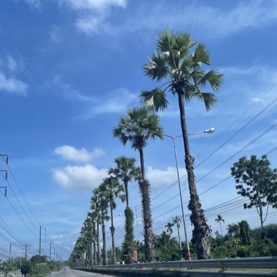 kipa7389's tweet photo. #NewProfilePic https://t.co/ZcS9uzeCWu