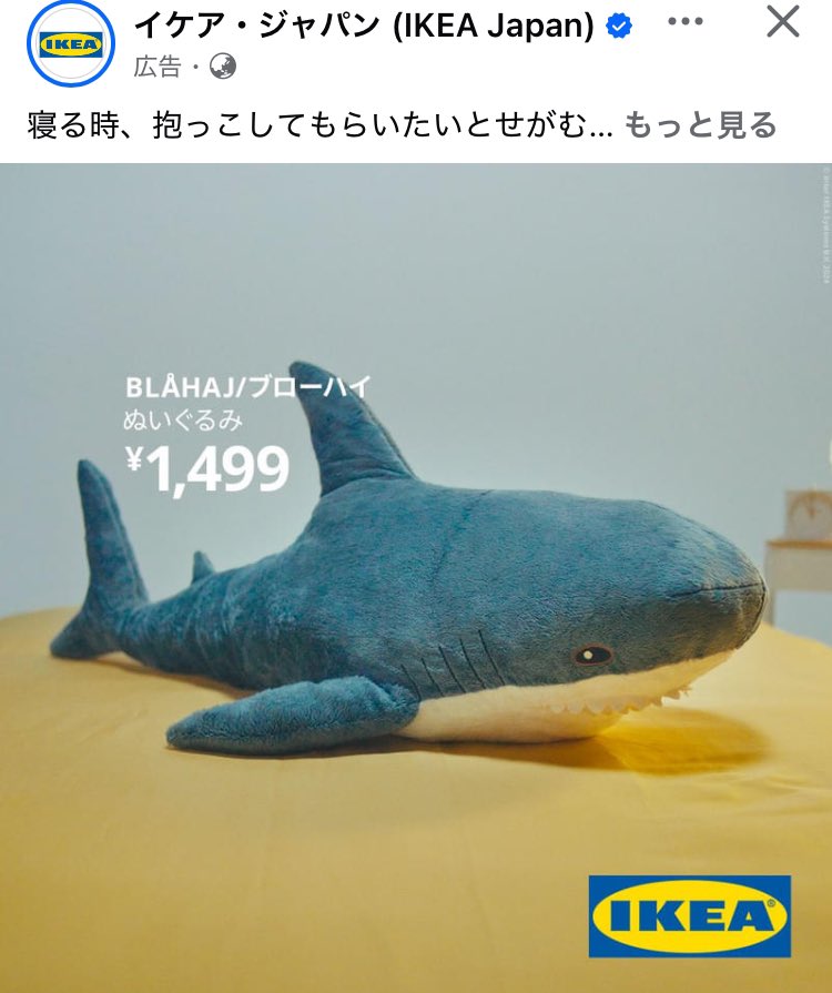 ゴミ捨て場にこれと同じものが2匹まとめて捨てられていた。
この子たちも心があったのに、捨てられてしまうのね…って悲しくなってしまった…
いっぱい汚れて、長い事愛されてきたのになって…