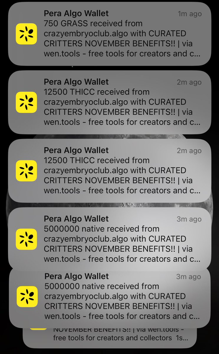 T00ManyNFTs tweet media