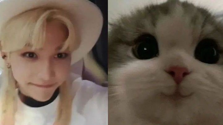 ㅤㅤㅤㅤ ㅤ⊹ ⠀࣪⠀busco mutis   ੭

holii, busco mutuals que estén activos para interactuar <3

─── skz (prio), izna ♡
para más info pueden leer mi carrd!

ㅤㅤㅤㅤㅤㅤㅤ↻ + ♡ = mutis
                        #stantwt #kpoptwt