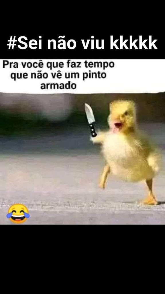 Franzé Cosmo (@franzecosmo) on Twitter photo 